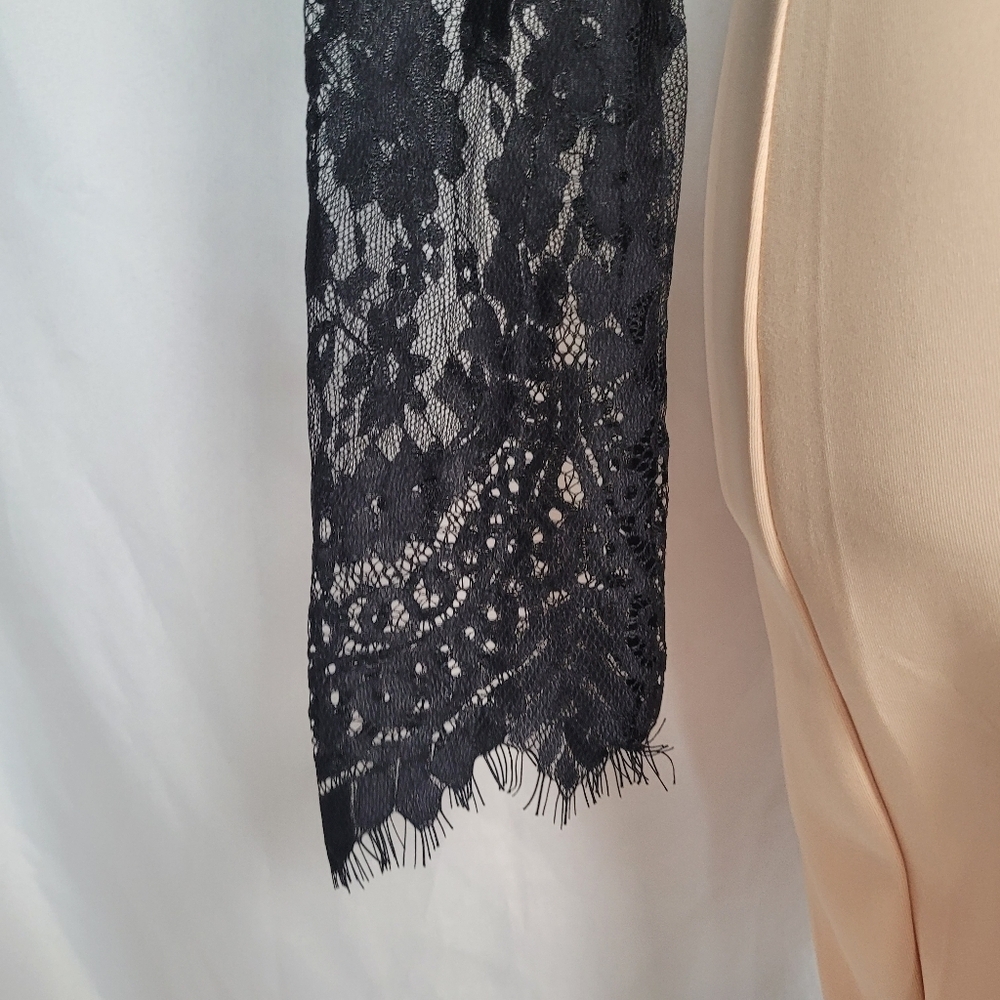 Mustard Seed by Anthropologie  Lace Overlay Sheath Dress w/ Fringe Detail Size S - Picture 2 of 13